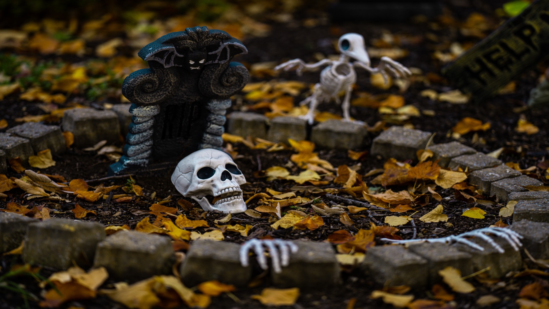 shutterstock 2525925901 resized to 1920x1080 1 - Decor Hint