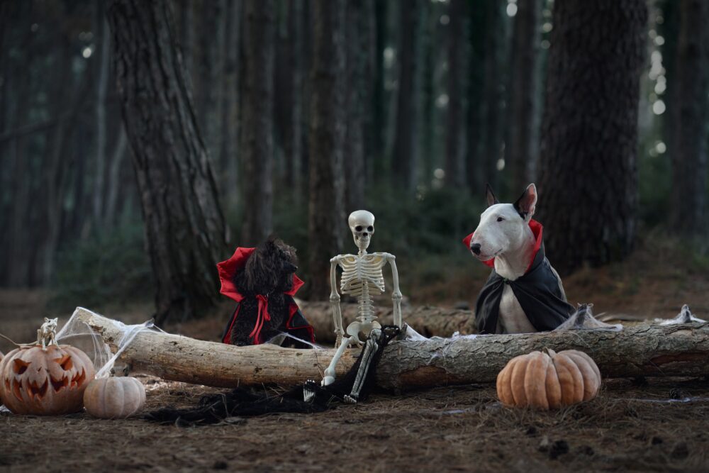 Skeleton Pet Parade