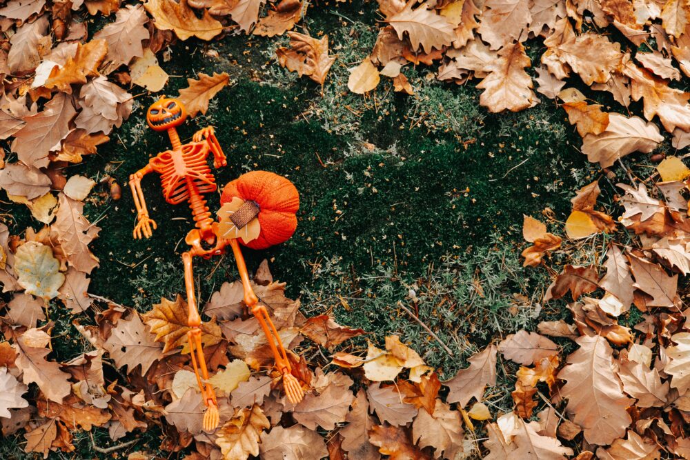 Autumn Meets Skeletons