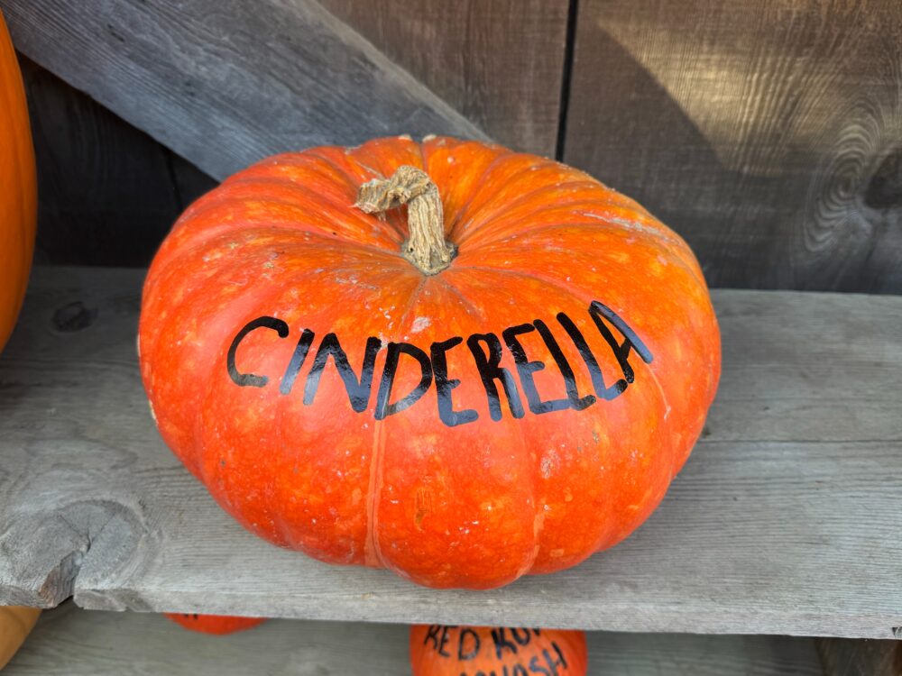 Monogrammed Or Letter-Carved Pumpkins For Personalization