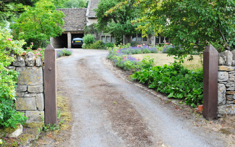 Ornamental Trees At The Entrance