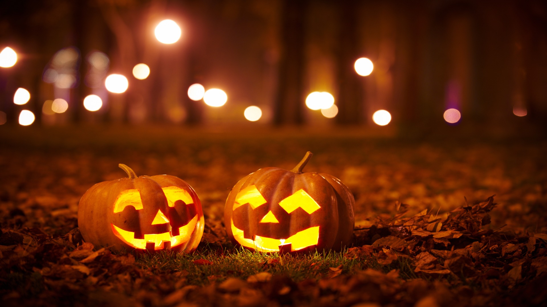 shutterstock 701584495 resized to 1920x1080 1 - Decor Hint