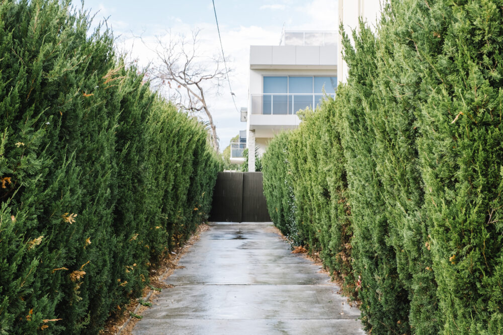  Symmetrical Planting Designs