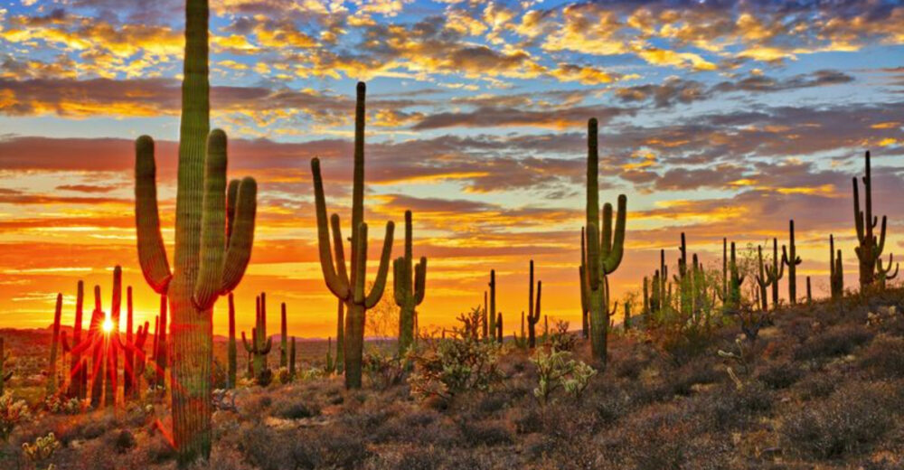10 Arizona Cities Perfect For Affordable Winter Vacations - Decor Hint