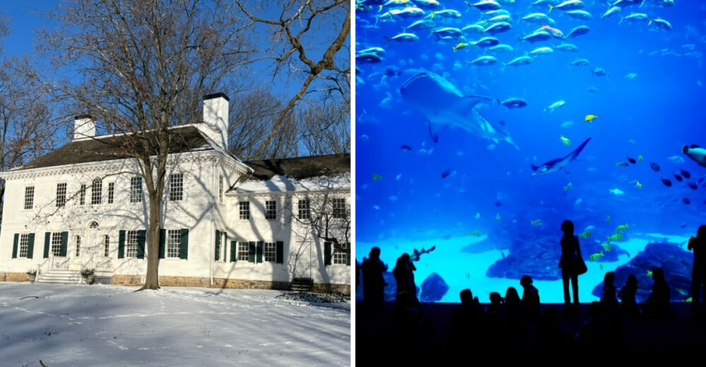 10 Family Activities To Enjoy In New Jersey This Winter - Decor Hint
