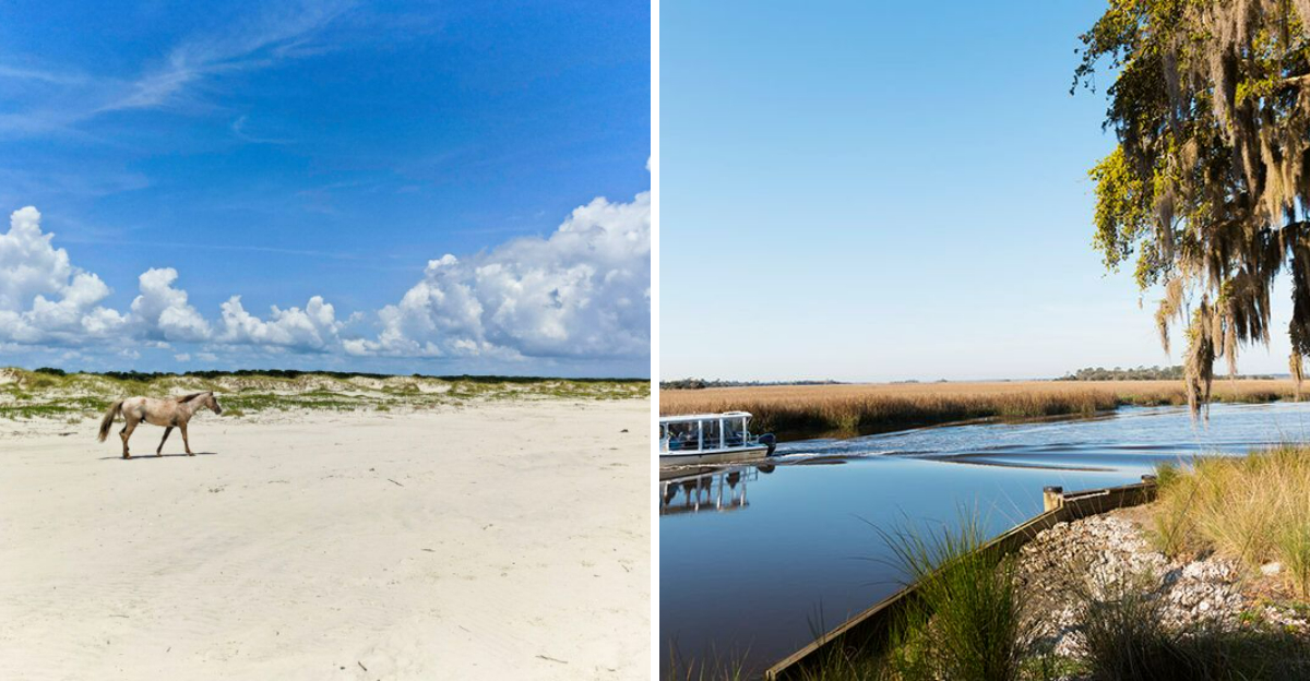 10 Georgia Beach Towns Overrun By Tourists, According To Locals - Decor Hint 10 Georgia Beach Towns Overrun By Tourists According To Locals - Decor Hint