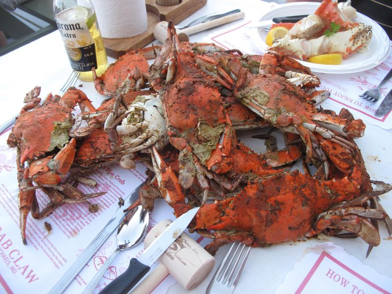 10 Maryland Seafood Joints Locals Skip - But Tourists Can't Stop Praising - Decor Hint The Crab Claw Restaurant - St. Michaels