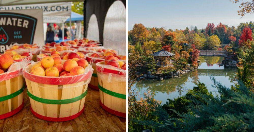 10 Michigan Fall Festivals Worth The Drive - Decor Hint
