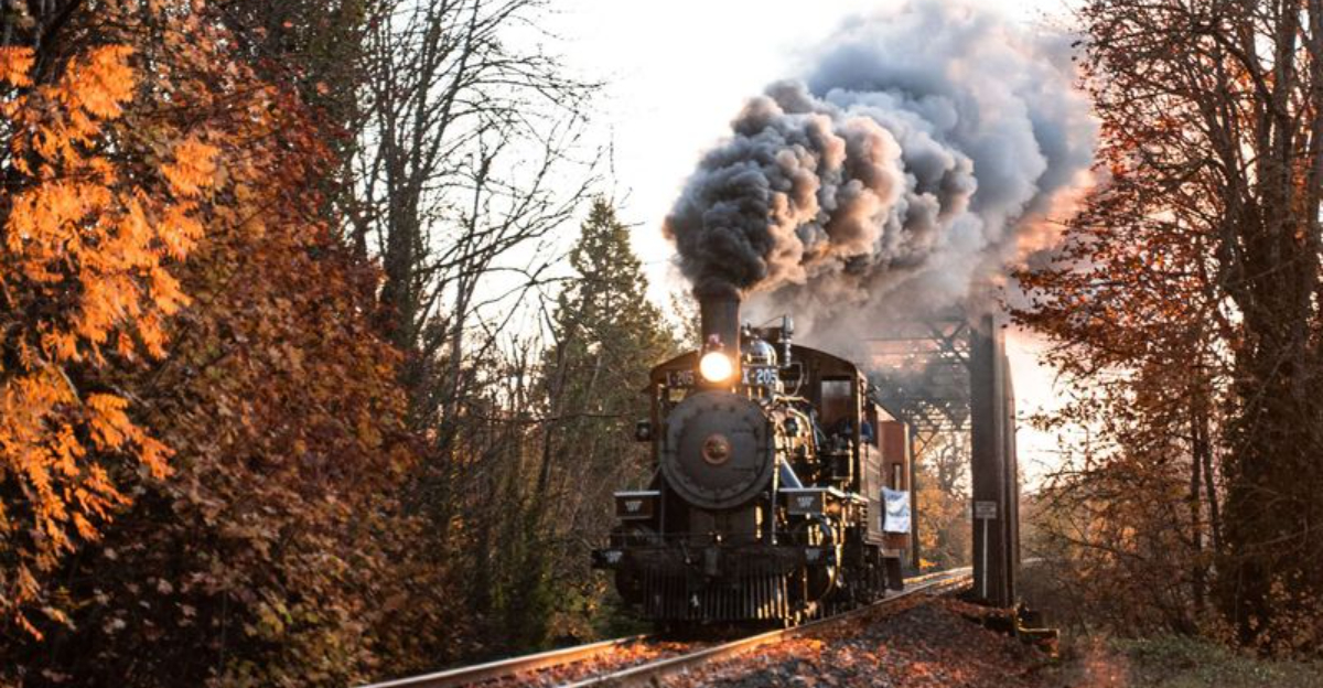 10 Oregon Train Rides Offering Breathtaking Coastal And Mountain Views - Decor Hint