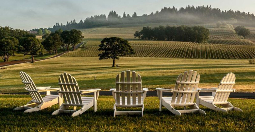 10 Oregon Wineries Where Harvest Season Means Fun For Everyone - Decor Hint