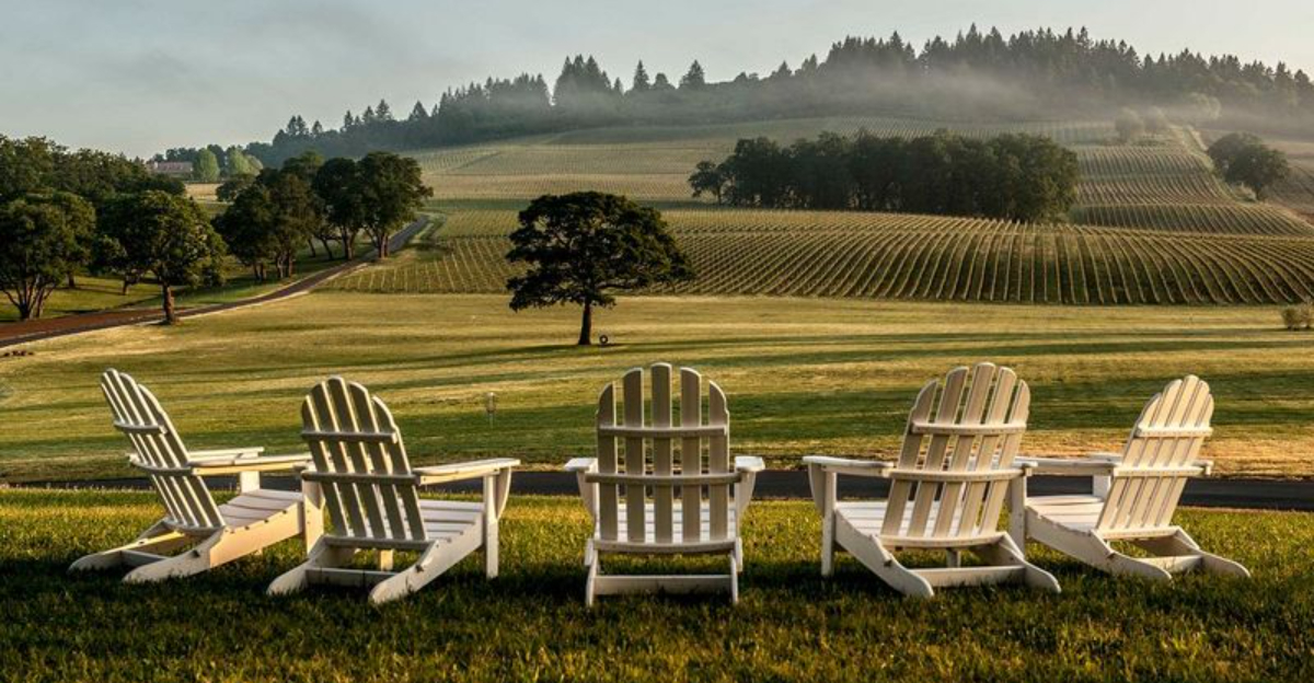 10 Oregon Wineries Where Harvest Season Means Fun For Everyone - Decor Hint 10 Oregon Wineries Where Harvest Season Means Fun For Everyone - Decor Hint