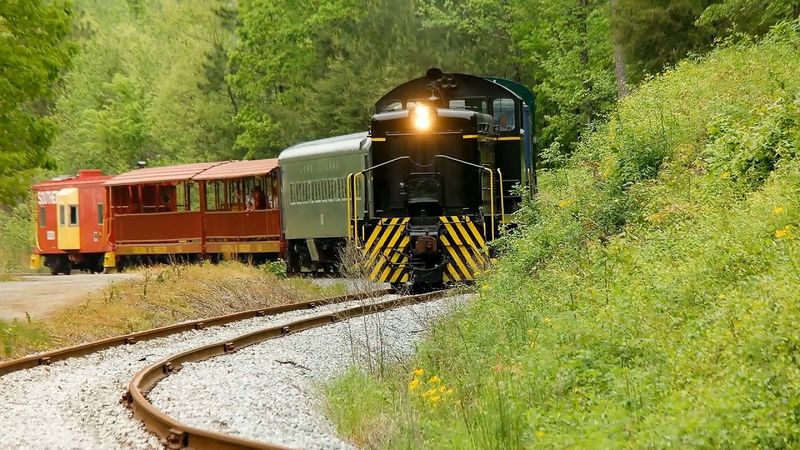 11 Alabama Scenic Train Rides That Bring Back Southern Charm - Decor Hint Calera & Shelby Train Ride – Calera