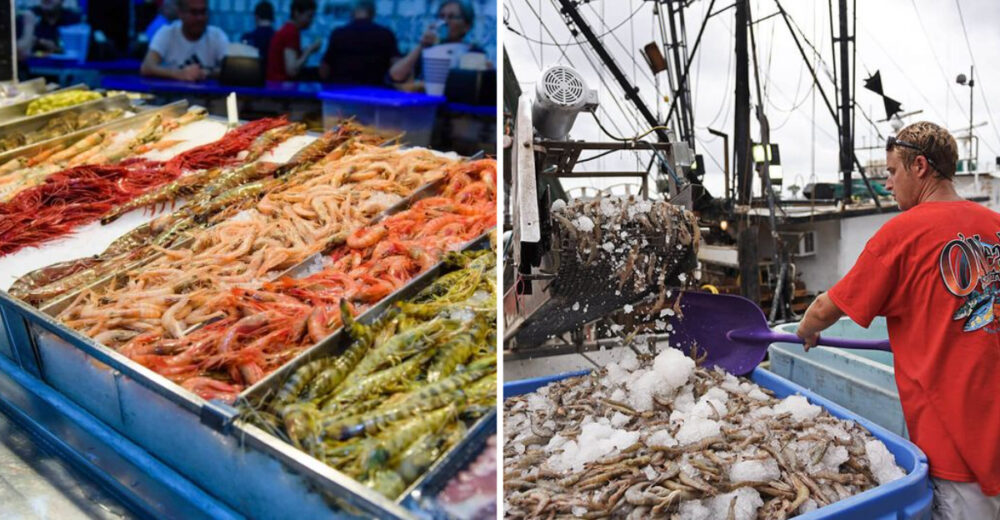 11 North Carolina Seafood Markets Where The Catch Goes From Ice To Plate In Minutes - Decor Hint