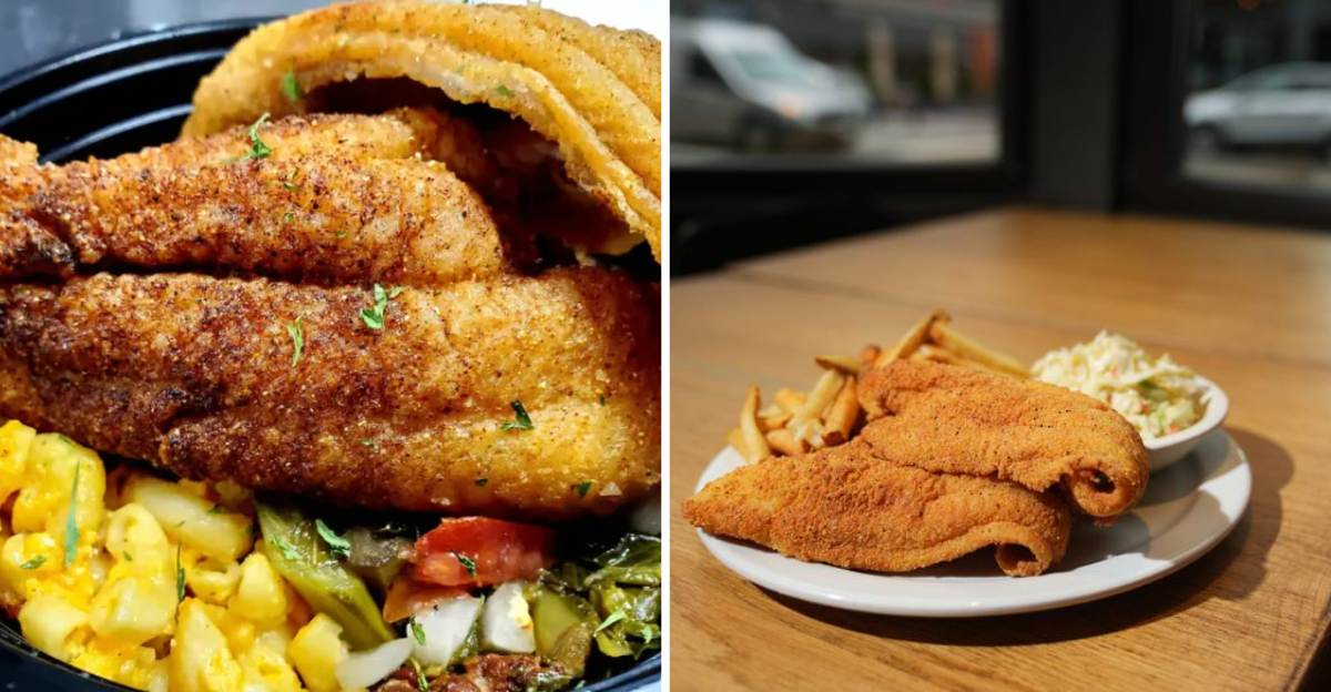 11 Ohio Catfish Cafés Where Locals Dig Into Comfort Food Classics - Decor Hint 11 Ohio Catfish Cafes Where Locals Dig Into Comfort Food Classics 2 - Decor Hint