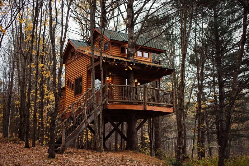 Moose Meadow Lodge And Treehouse