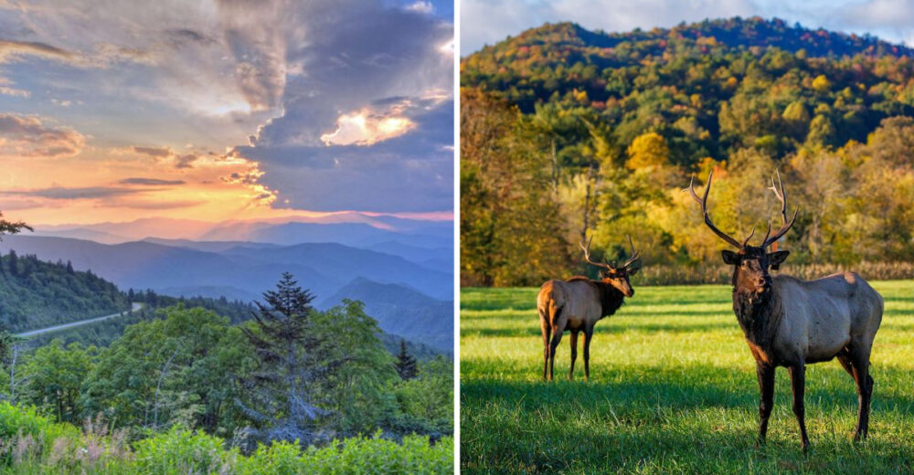 12 Reasons North Carolinas Mountain Towns Are The Perfect Peaceful Escape - Decor Hint