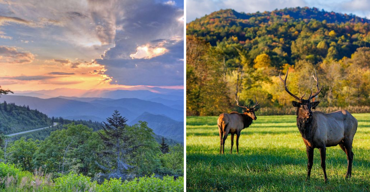 12 Reasons North Carolina's Mountain Towns Are The Perfect Peaceful Escape - Decor Hint 12 Reasons North Carolinas Mountain Towns Are The Perfect Peaceful Escape - Decor Hint
