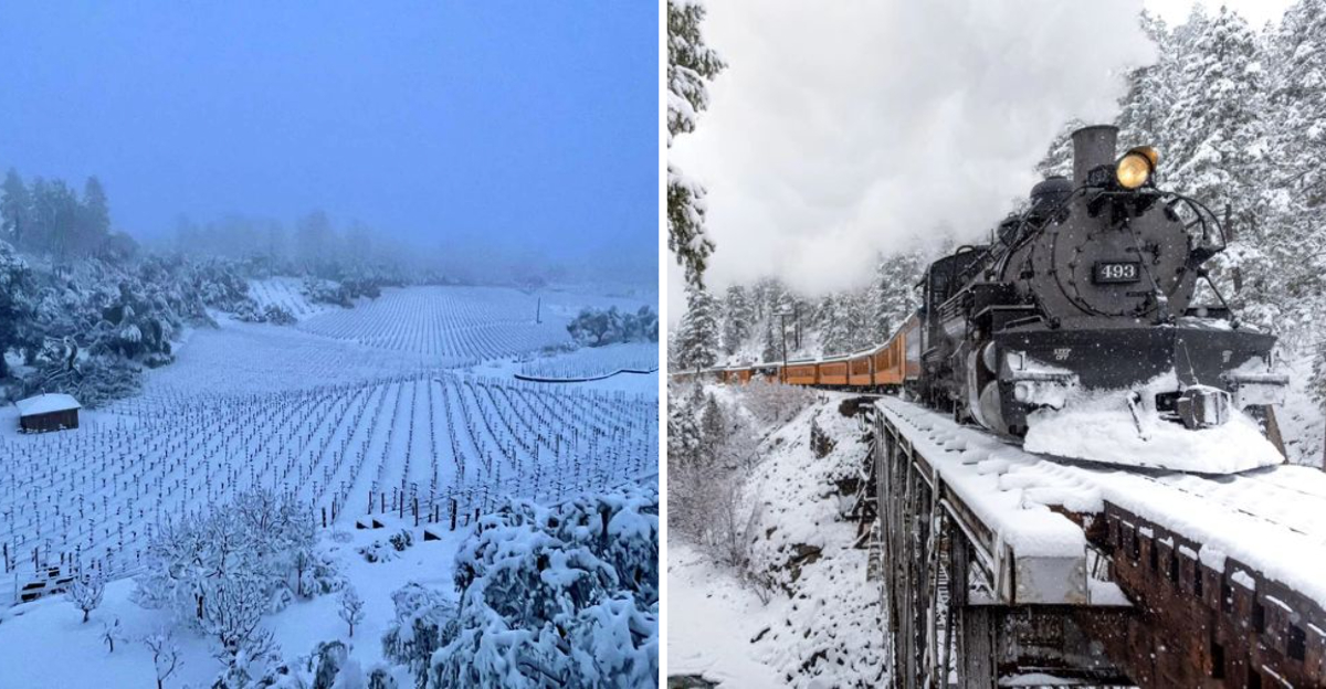 12 Reasons The Napa Valley Wine Train Is The Ultimate Winter Bucket List Experience - Decor Hint 12 Reasons The Napa Valley Wine Train Is The Ultimate Winter Bucket List - Decor Hint