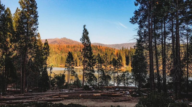 13 California Lakes Tucked Inside Sequoia National Forest Perfect For Fishing And Camping - Decor Hint Hume Lake
