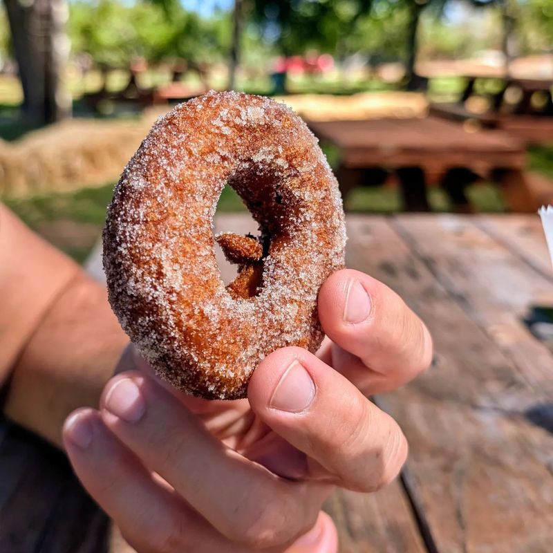 13 Hidden Cider-Donut Spots In California That Smell Like Autumn - Decor Hint Rainbow Orchards, Camino, CA
