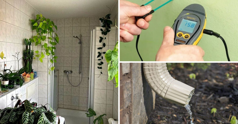 13 Simple Fixes That Could Keep Mold From Ruining Your Texas Home - Decor Hint