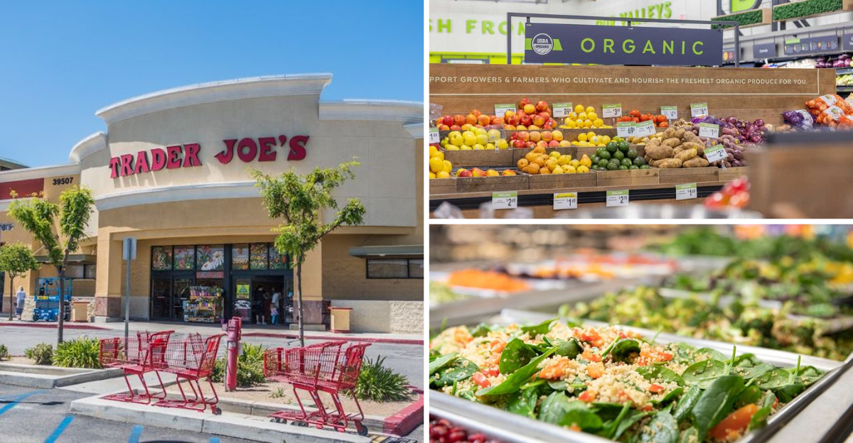 14 California Grocery Stores With Celery And Green Juice Ingredients - Decor Hint 14 California Grocery Stores With Celery And Green Juice Ingredients - Decor Hint