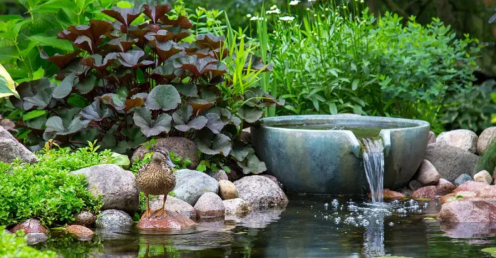 14 Easy DIY Backyard Fountain Ideas In Florida - Decor Hint