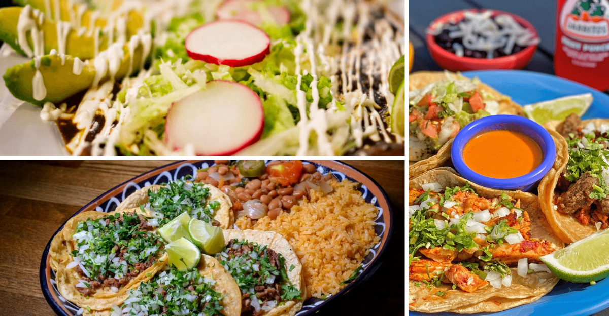 14 Family Owned Mexican Restaurants In Michigan That Locals Love Week After Week - Decor Hint 14 Family Owned Mexican Restaurants In Michigan That Locals Love Week After Week - Decor Hint