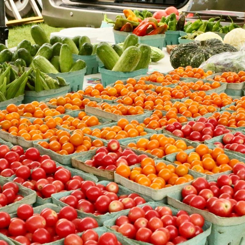 14 North Carolina Farmers Markets So Good You'll Never Go Back To Store Bought - Decor Hint Carrboro Farmers Market