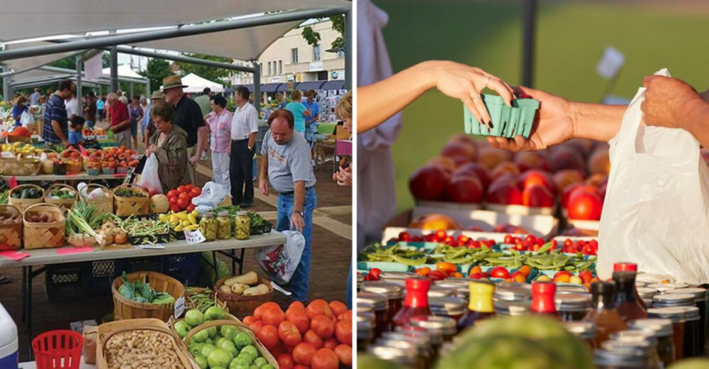 14 North Carolina Farmers Markets So Good Youll Never Go Back To Store Bought - Decor Hint