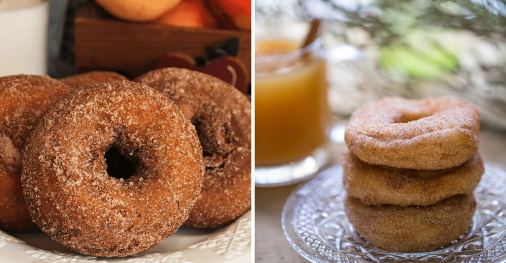 14 Pennsylvania Spots Serving Fresh Warm And Perfect Cider Donuts - Decor Hint