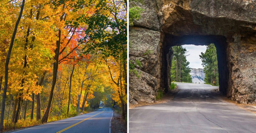 14 Scenic Weekend Drives Across Illinois That Are Worth The Time Off - Decor Hint