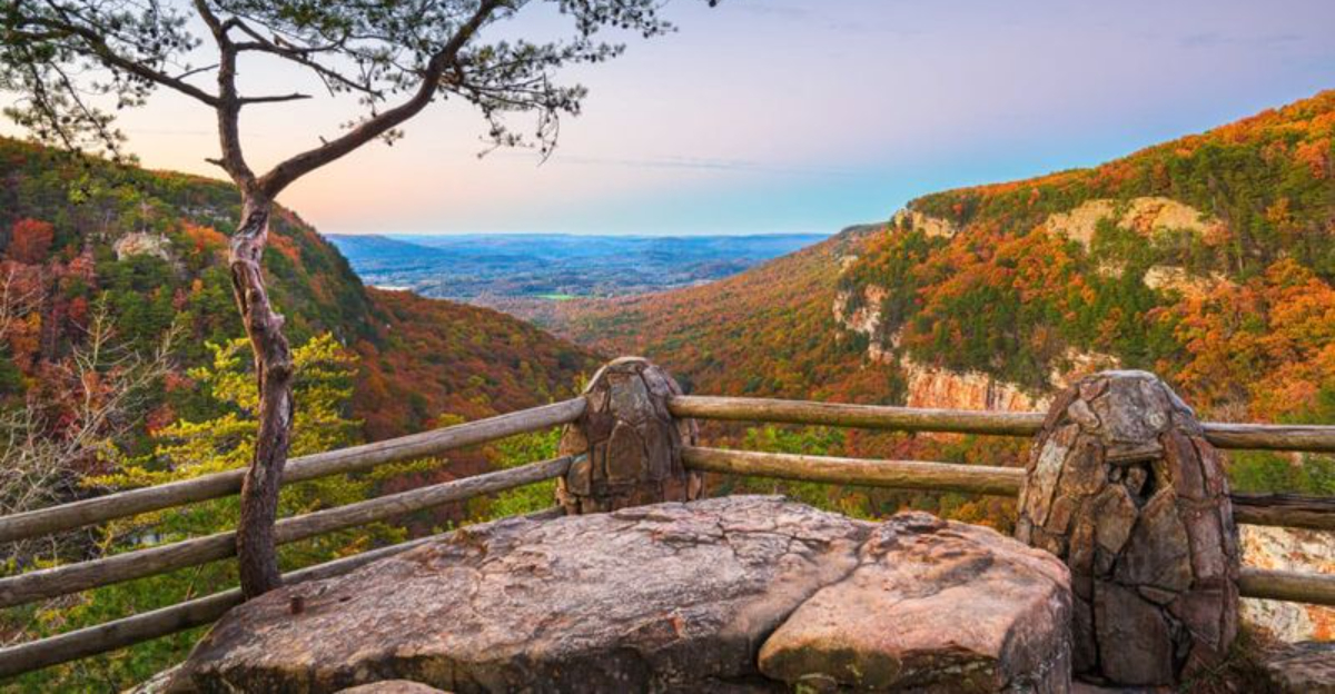 15 Cozy Georgia Winter Getaways Kids Adore And Parents Secretly Do Too - Decor Hint