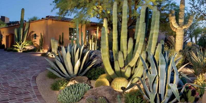 17 Arizona Home Trends Transforming Desert Living By 2030 - Decor Hint Desert-Adapted Xeriscaping