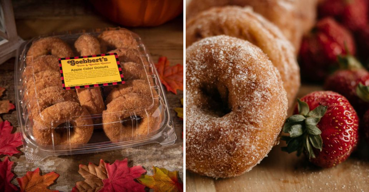 17 Illinois Cider Donut Stands That Make Every Bite Feel Like Autumn - Decor Hint 17 Illinois Cider Donut Stands That Make Every Bite Feel Like Autumn - Decor Hint