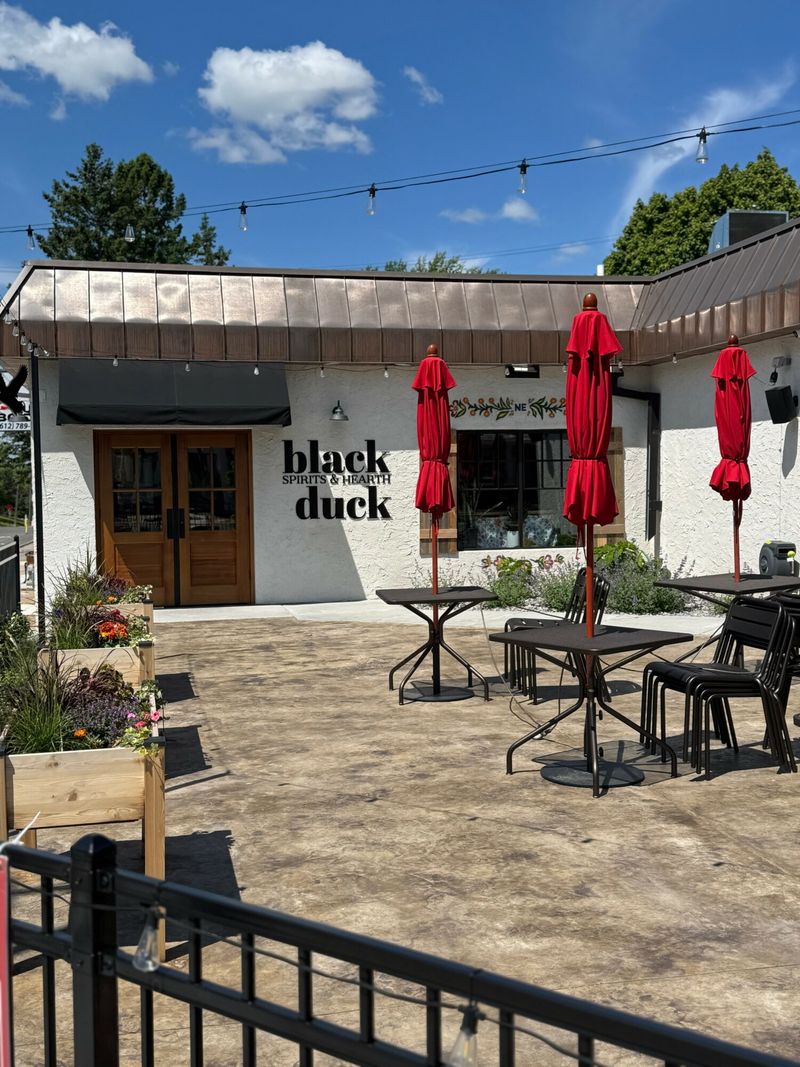 Bite Into THE Best: 14 Minnesota Restaurants You Can't Miss - Decor Hint Black Duck, Minneapolis