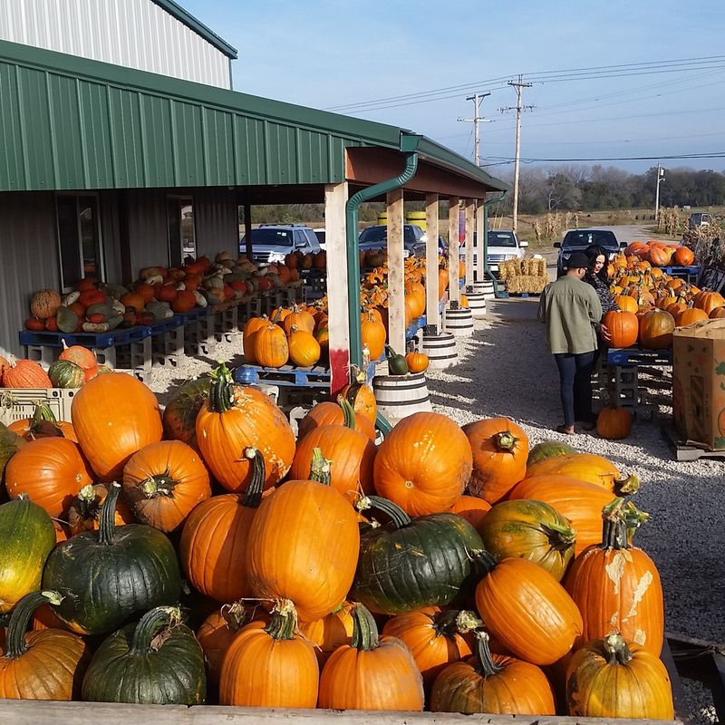 Britt's Farm, Manhattan