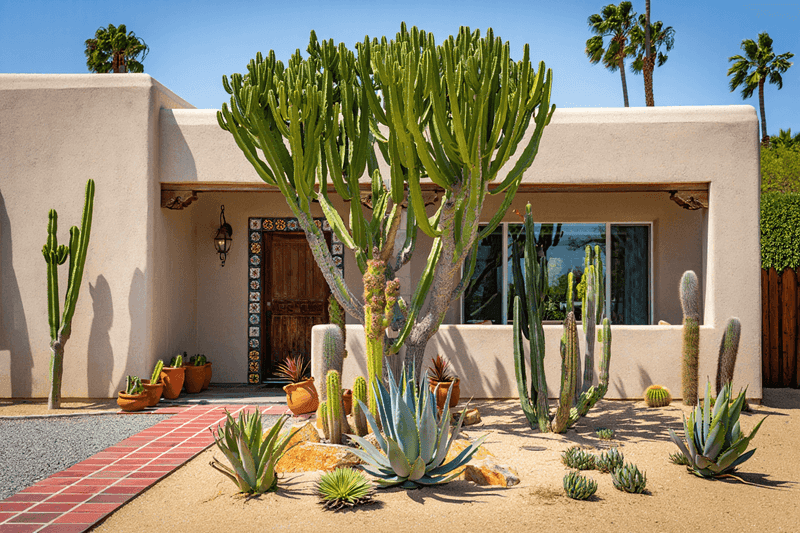 Make Bold Statements With Succulents