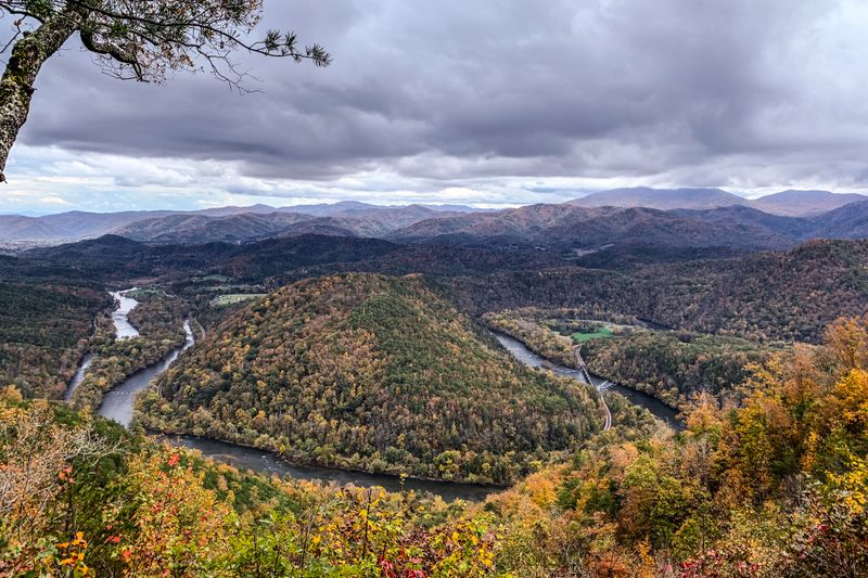 Wildlife And Forest Ecology Along The Route