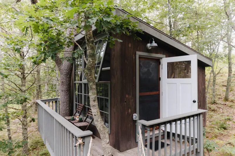 Seguin Tree Dwellings