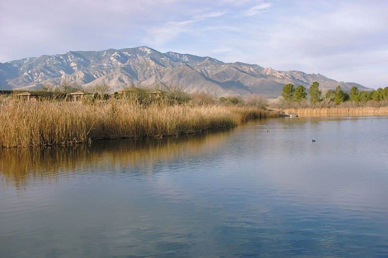 16 Off-The-Radar Lakes In Arizona Worth Discovering - Decor Hint Roper Lake