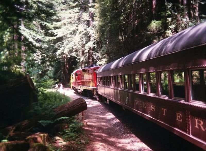 Top U.S. Trains For Stargazing Trips Across California, Utah, And More - Decor Hint Skunk Train, California