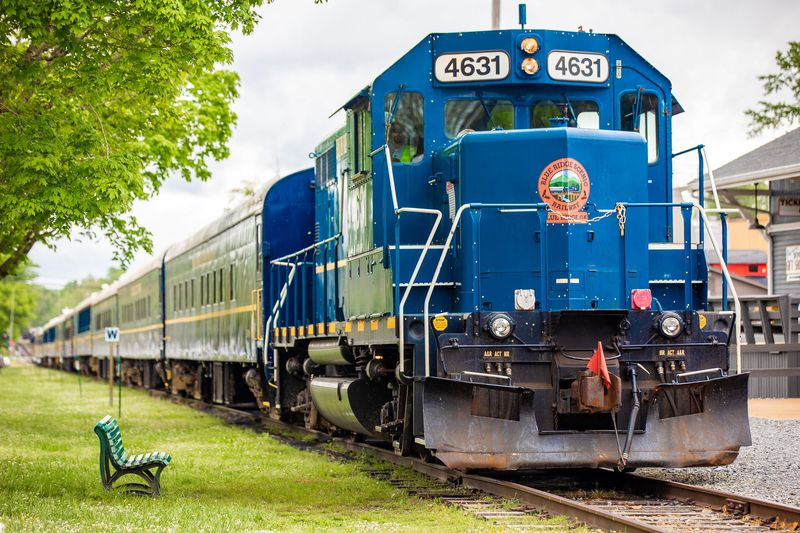 All Aboard! 12 Scenic Train Trips Across Georgia Worth Taking - Decor Hint Blue Ridge Scenic Railway, Blue Ridge