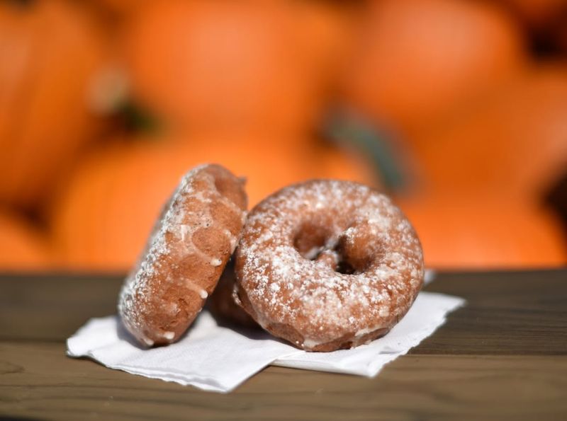 17 Illinois Cider Donut Stands That Make Every Bite Feel Like Autumn - Decor Hint Bengston's Pumpkin Farm - Homer Glen
