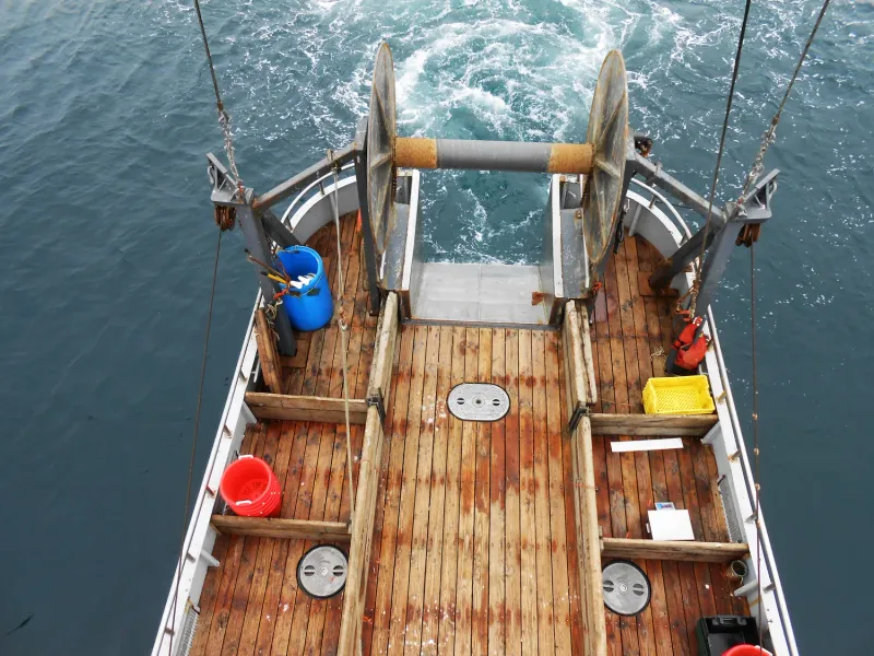 Sustainable Sourcing Practices