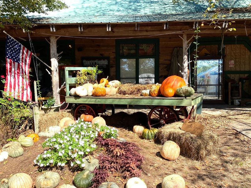 Berry Patch Farms, Heflin, AL