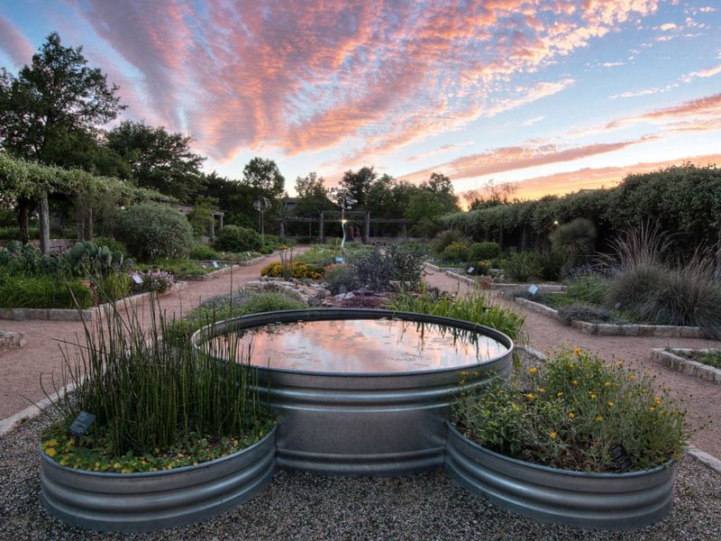 Lady Bird Johnson Wildflower Center (Austin)
