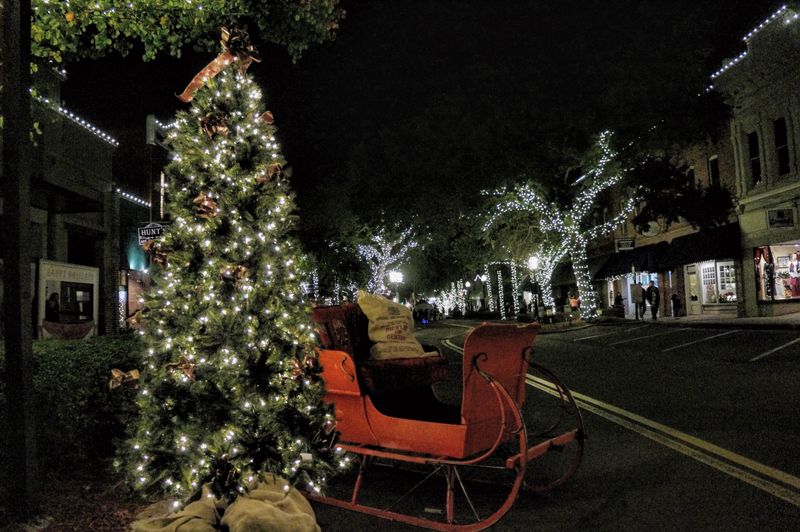 Festive Holiday Lights