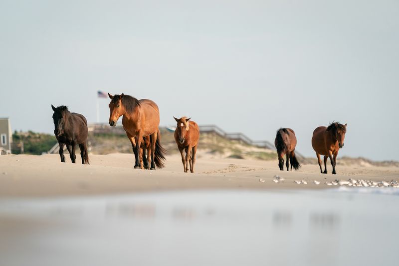 20 U.S. Destinations That Are Even Better In The Off-Season, Spanning Maine And Florida - Decor Hint Outer Banks, North Carolina