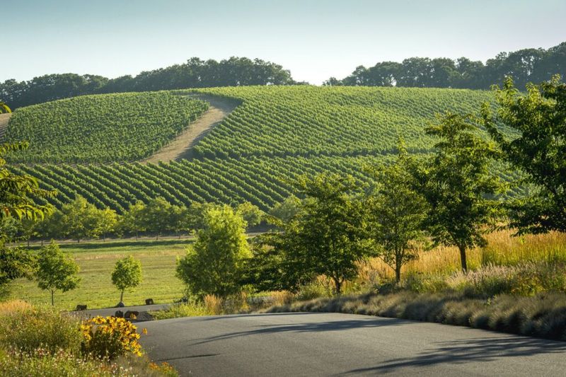 10 Oregon Wineries Where Harvest Season Means Fun For Everyone - Decor Hint Left Coast Estate Winery